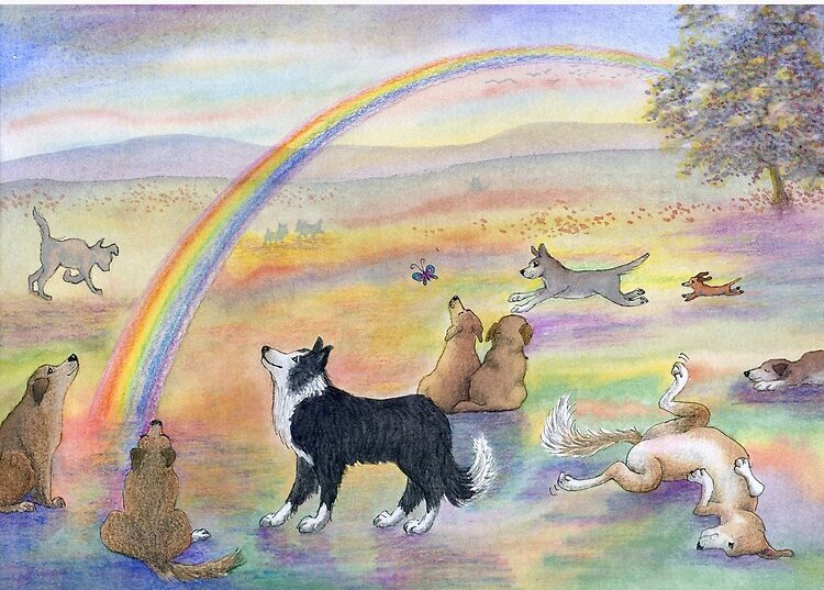 gnipped's tweet image. Wieder ost einer der besten gegangen...