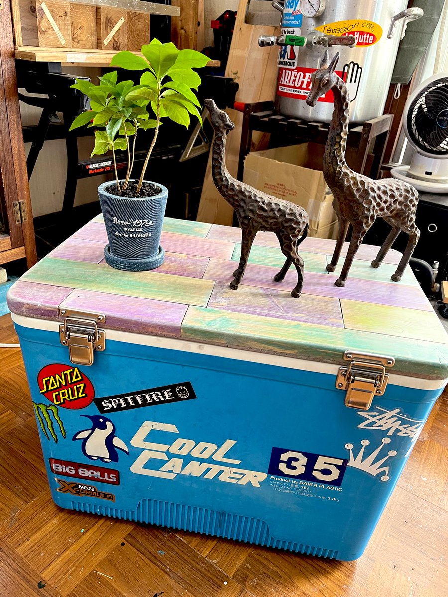 Lucky0611g's tweet image. リサイクルショップで見つけたレトロなクーラーボックス（1000円）🐟🧊📦

黄変した蓋を端材で作り直してリメイク 🪚🛠️

自分好みの収納ボックス完成に大満足 ✨🥺