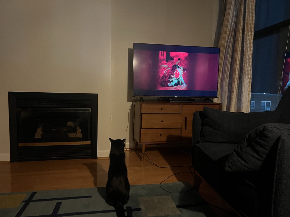Suspiria now.