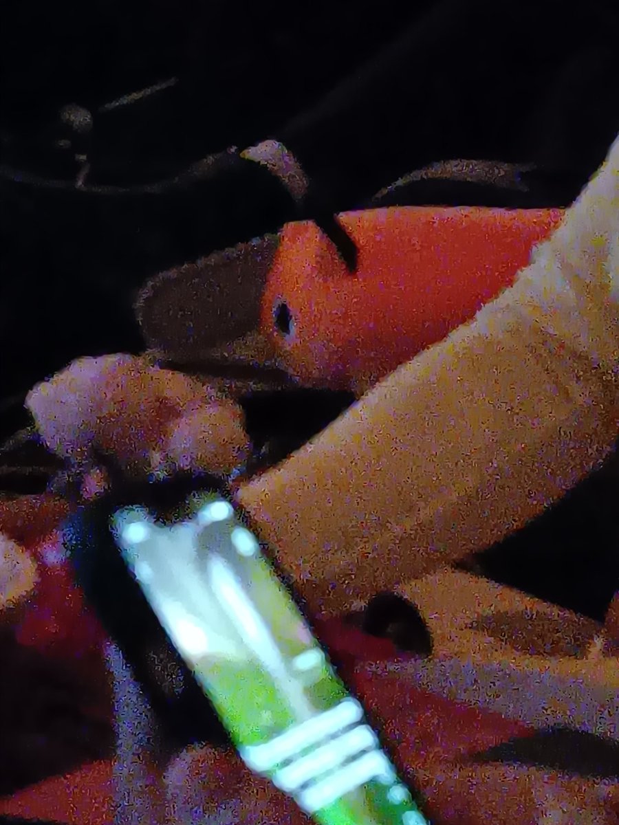 Went to see the Chainsaw movie 
It was great Im sorry I doubted you dub i didnt know your game. 
Pochita liked it