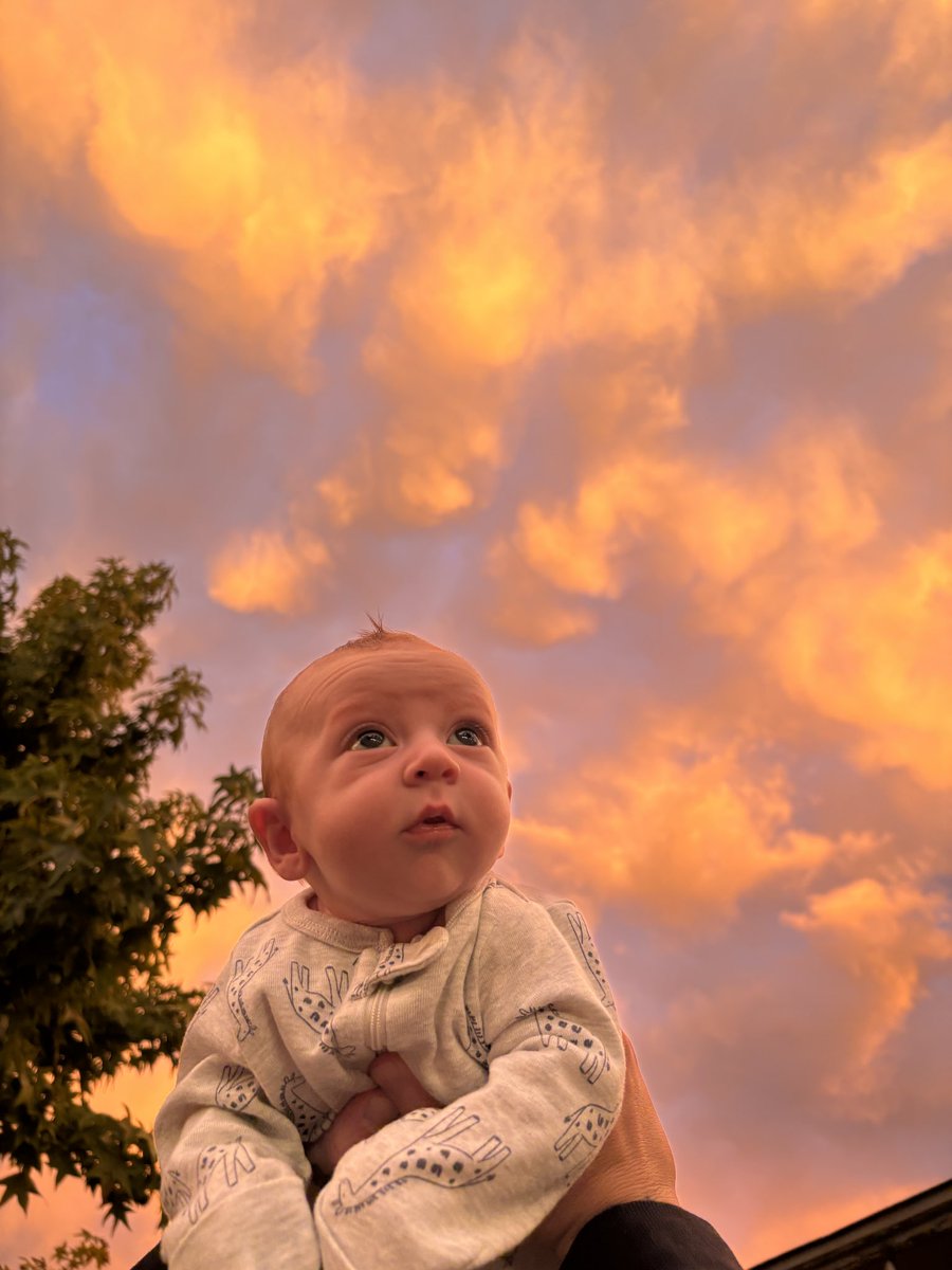 roxanne (@rosenhooover) on Twitter photo 