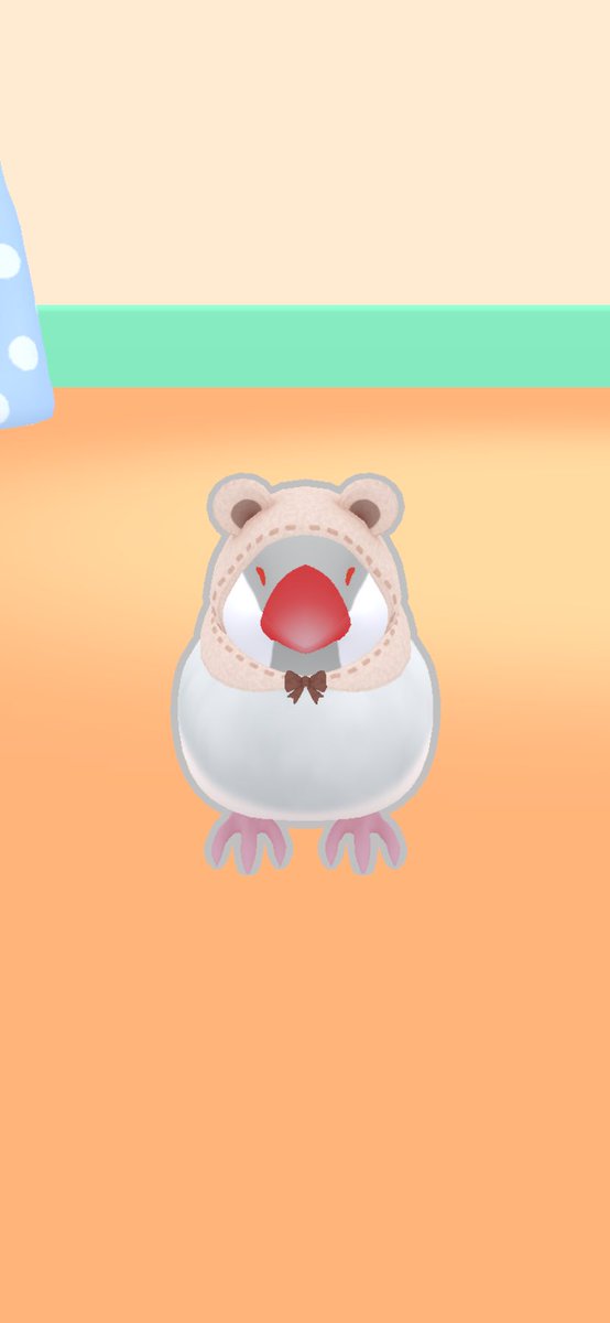 文鳥好きのとうふもち。 on X