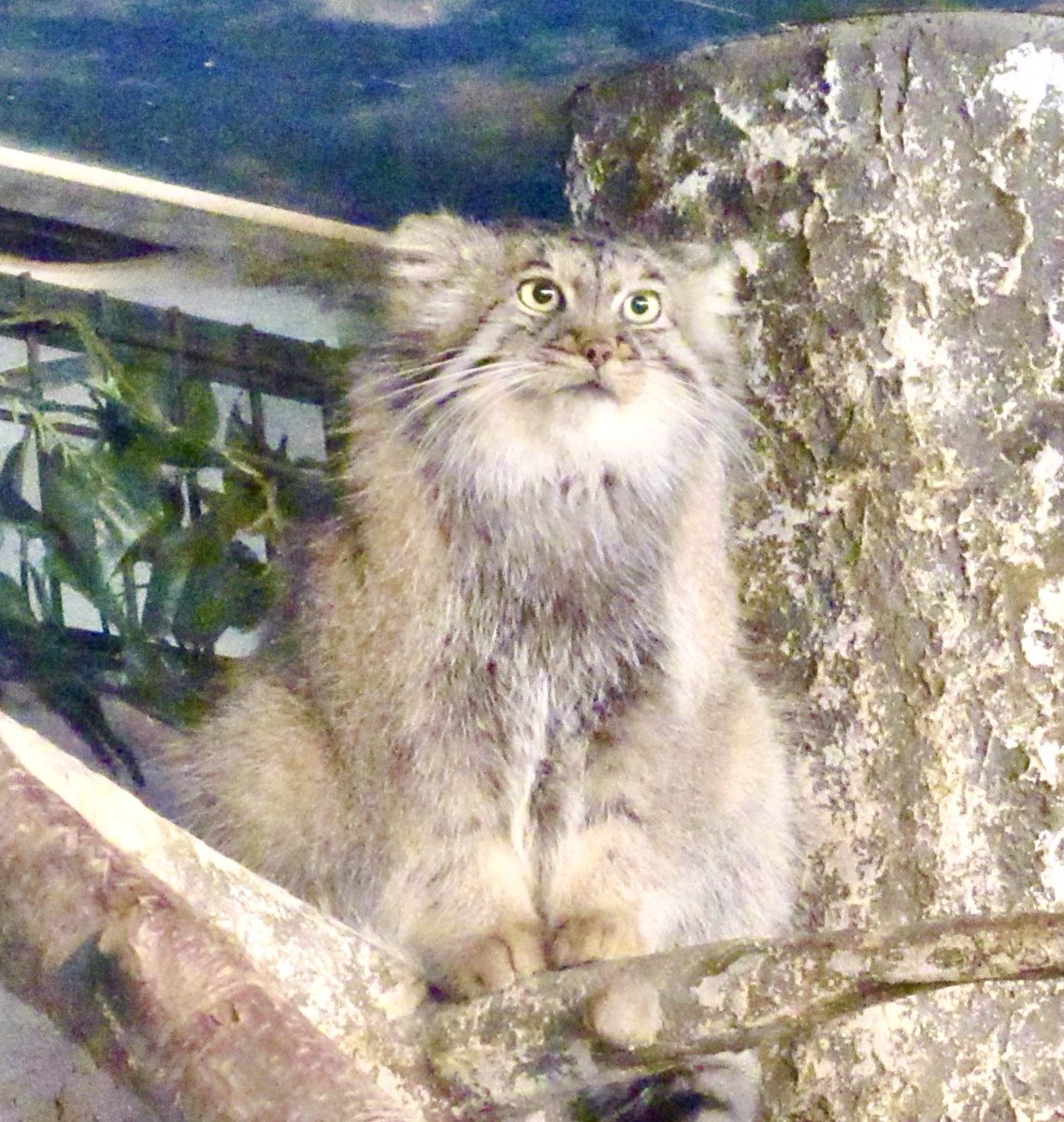 スウェーデン🇸🇪から、とんでもない美形の転入生来たな✨✨と思った