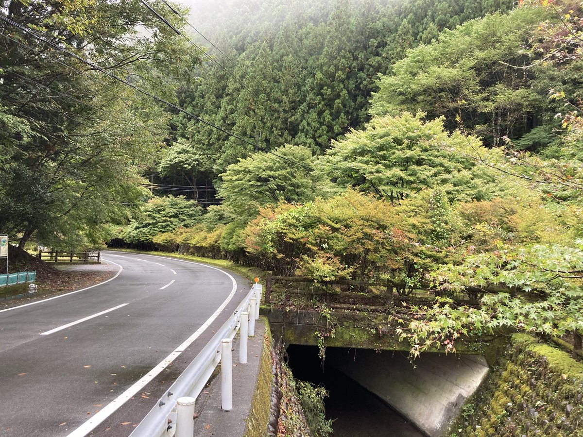 kuretake2985's tweet photo. お久しぶりです🐶
寸又峡温泉は小雨が降っています☂️
本日の紅葉🍁情報ですが...ちょっとづつ色づき初めですかね😅🐶まだまだ緑が多いですね🤔昨年の全盛期はこんな感じでしたかね🐶🐶🐶 https://t.co/00rtVm9Duj