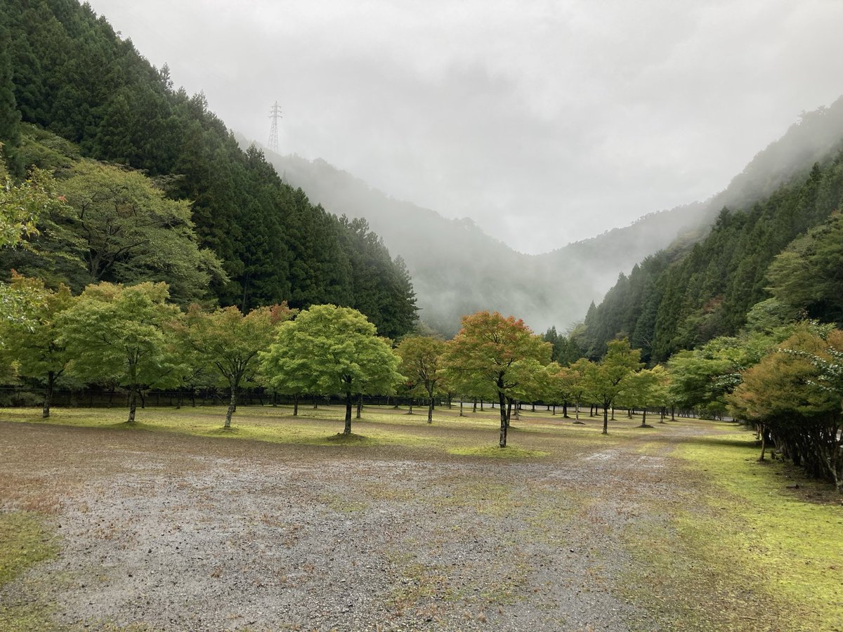 kuretake2985's tweet photo. お久しぶりです🐶
寸又峡温泉は小雨が降っています☂️
本日の紅葉🍁情報ですが...ちょっとづつ色づき初めですかね😅🐶まだまだ緑が多いですね🤔昨年の全盛期はこんな感じでしたかね🐶🐶🐶 https://t.co/00rtVm9Duj