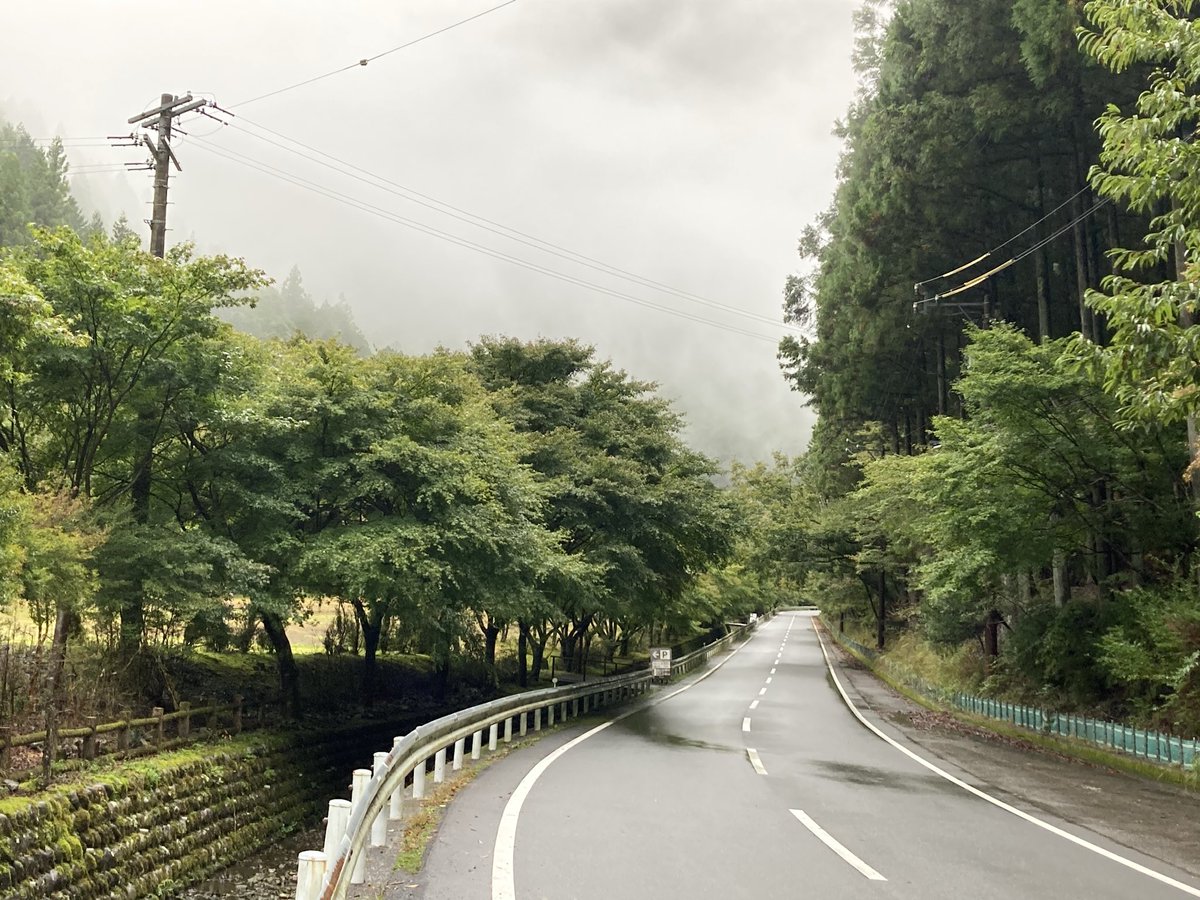 kuretake2985's tweet photo. お久しぶりです🐶
寸又峡温泉は小雨が降っています☂️
本日の紅葉🍁情報ですが...ちょっとづつ色づき初めですかね😅🐶まだまだ緑が多いですね🤔昨年の全盛期はこんな感じでしたかね🐶🐶🐶 https://t.co/00rtVm9Duj
