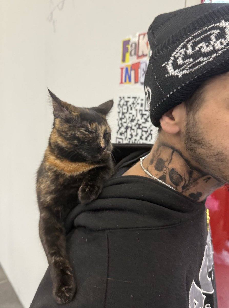 pyra_m1d's tweet image. The coolest cat at @ComplexCon