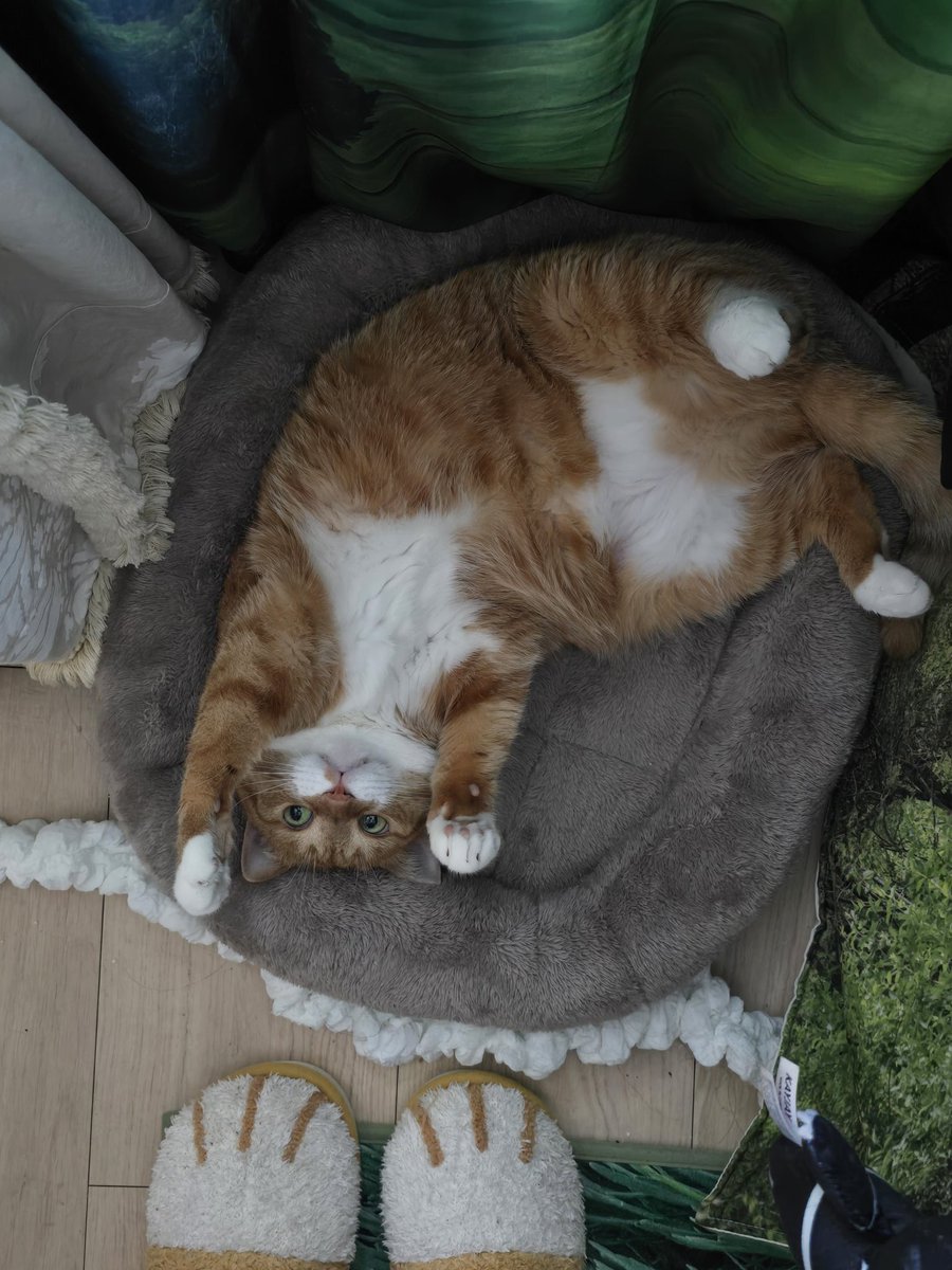 인스타 캐스팅                                             데뷔