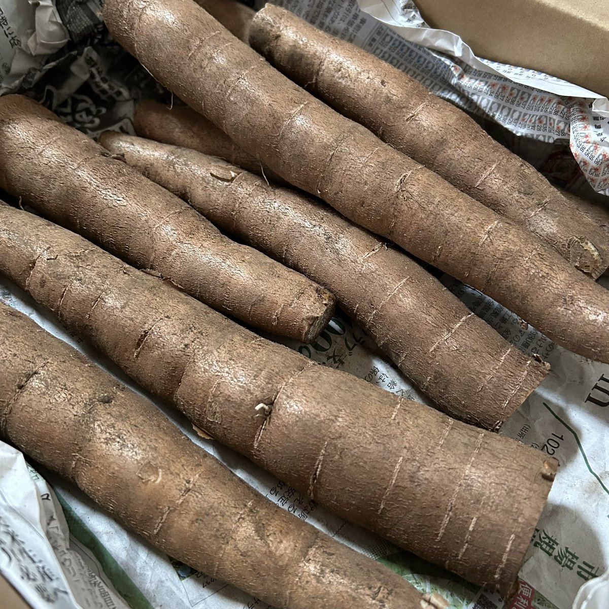 たかぼんが大切に育てたキャッサバが届きました🙌

キャッサバって何⁉️
という方は、引用元のまにほっとさんをチェック✅

キャッサバを多くの方々に知ってもらいたい✨
そんな想いでめちゃくちゃお得なキャンペーンをしてました😳(送料分にもならない🫣)ありがとう☺️