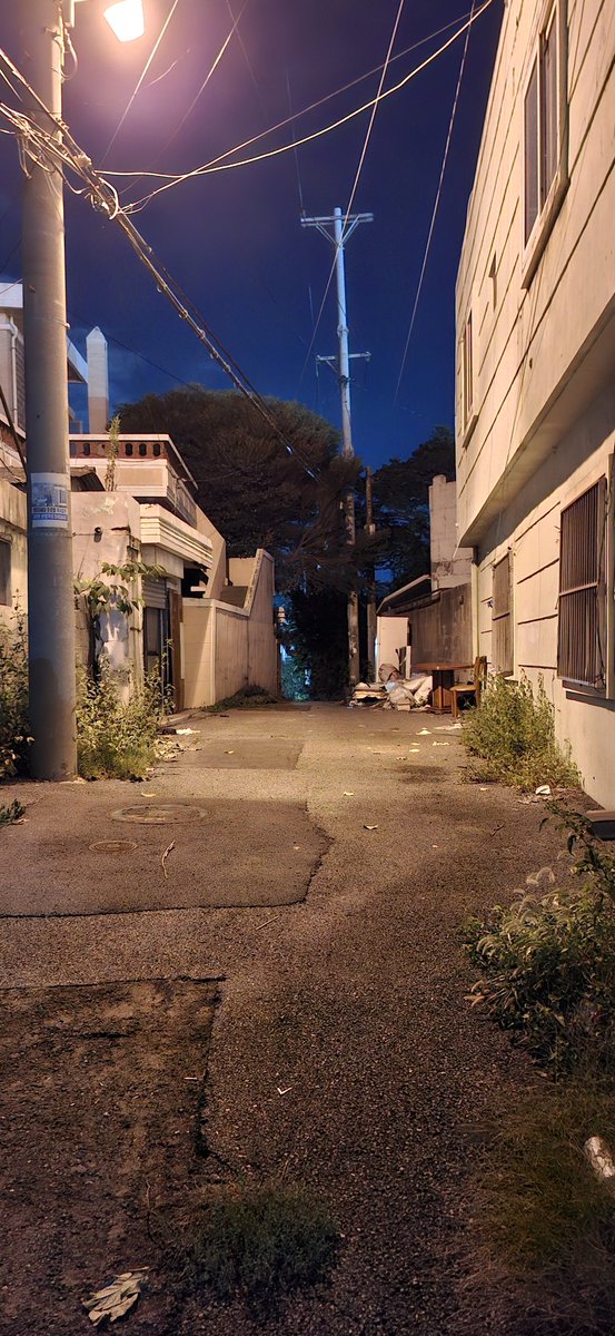 축제 구경 갔다가 어떤 부산 시디 밤에 가던곳 발견  저녁되면 여긴 정말 조용해짐

여긴  진짜 사람없네