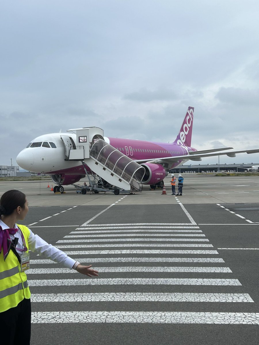 紅 龍華 tweet media