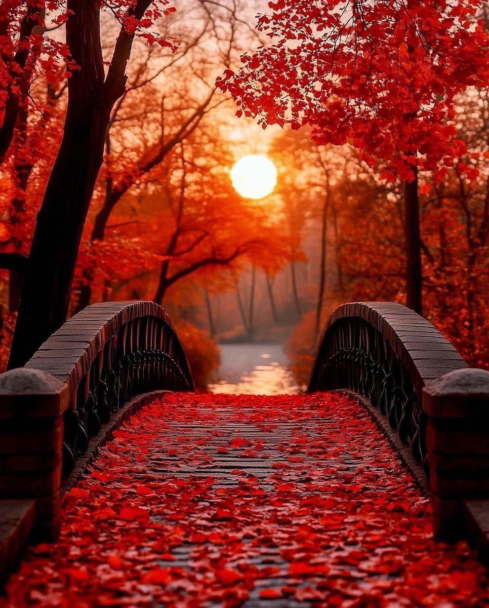 aestheticspost_'s tweet image. Japan