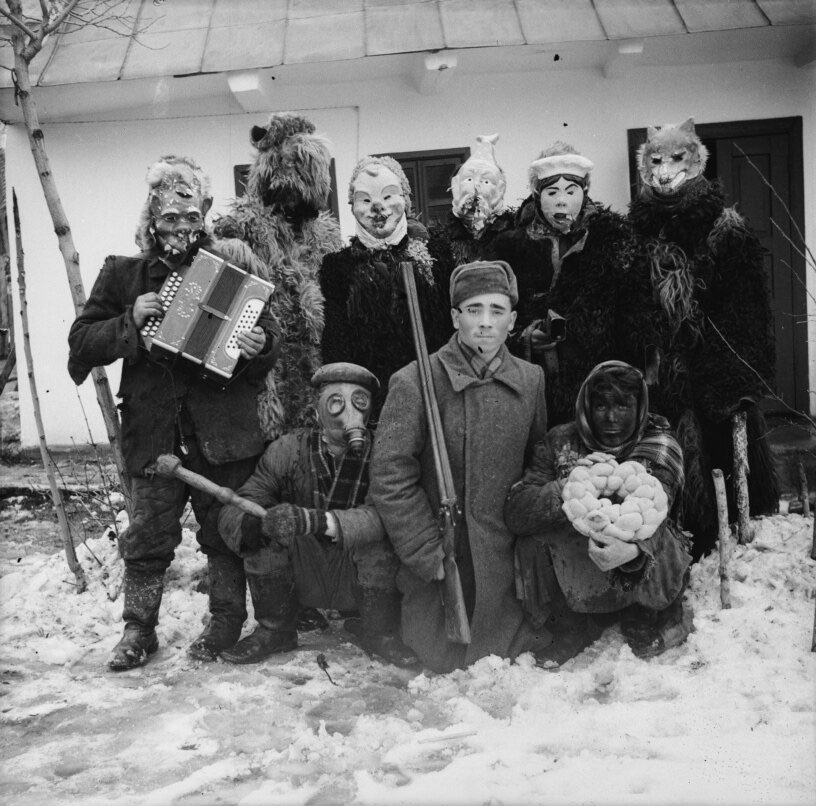 StrangeBirb's tweet photo. We few, we happy few, we band of brothers;
For he to-day that sheds his blood with me
Shall be my brother https://t.co/btvG7Ieuzu
