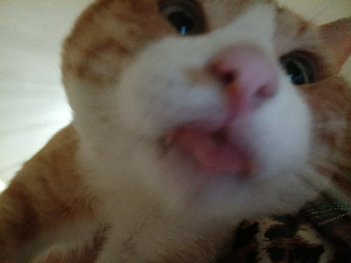 Cloudery_ccd's tweet image. Shu, porang porang linos 
#LeeKnow #linos