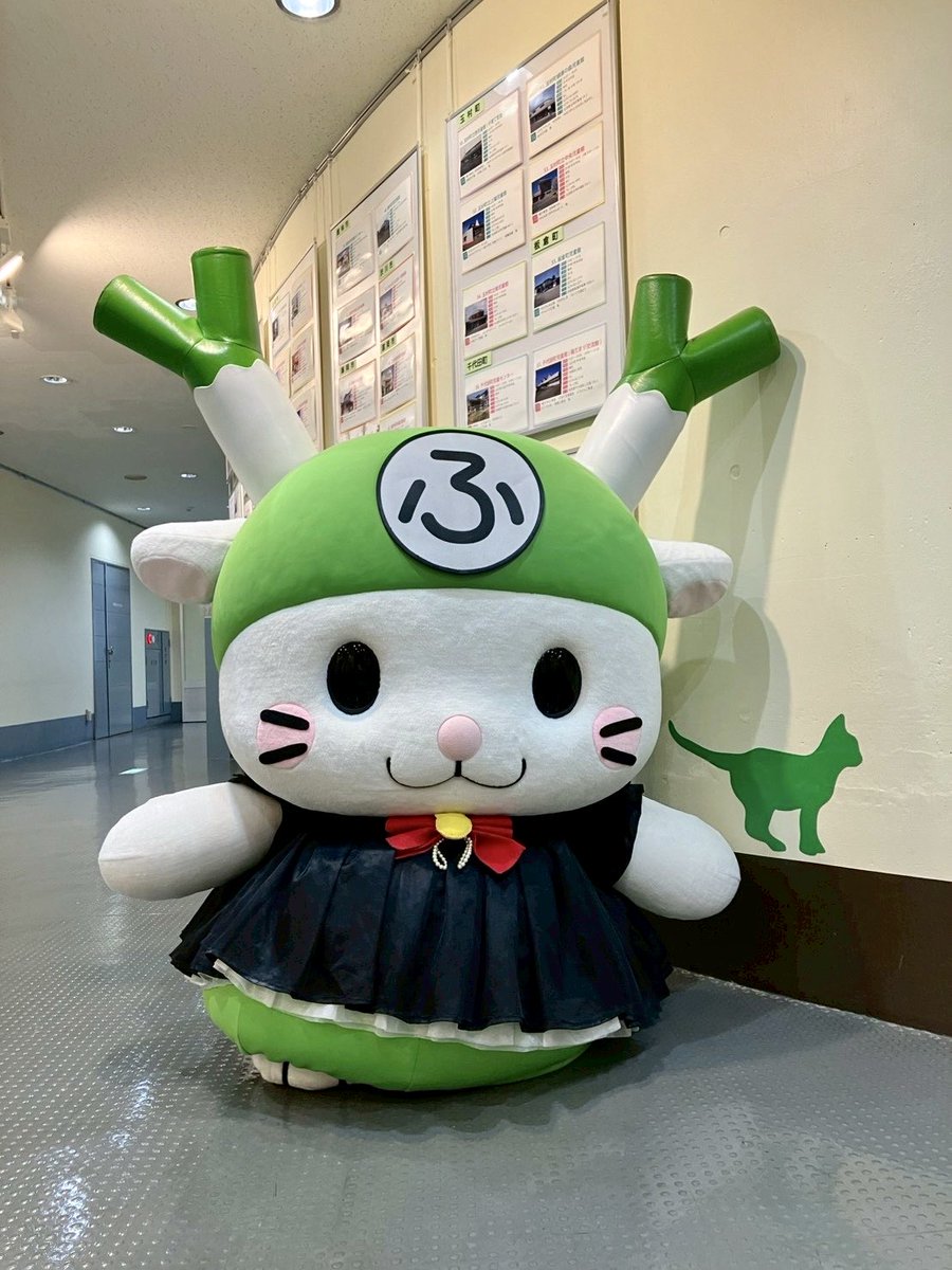 ふっかちゃんページです！2点セットアップ ふっかちゃん (@fukkachan) / Posts / X