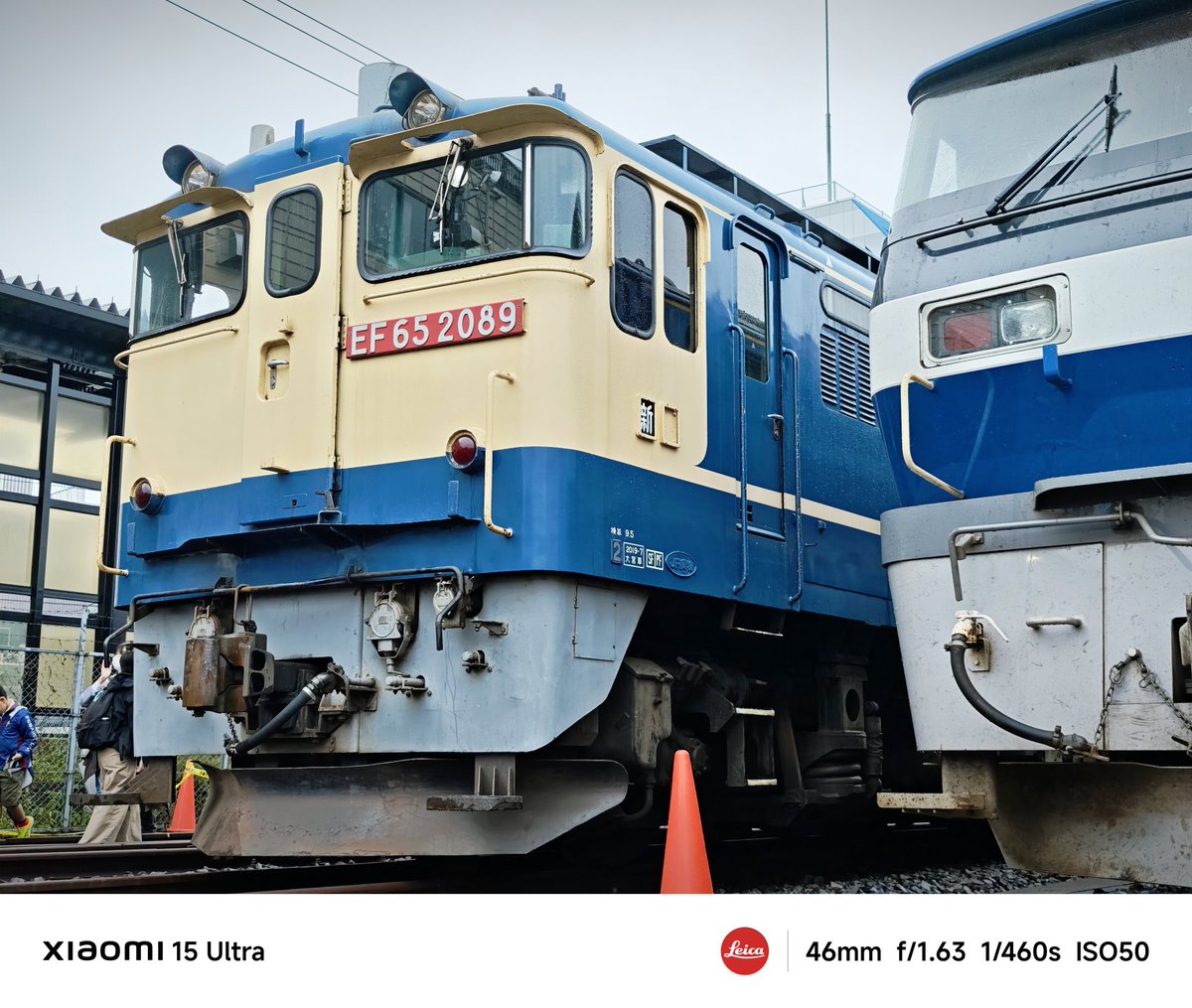 たまごん たまごん (@onsen_tamagon) / Posts / X