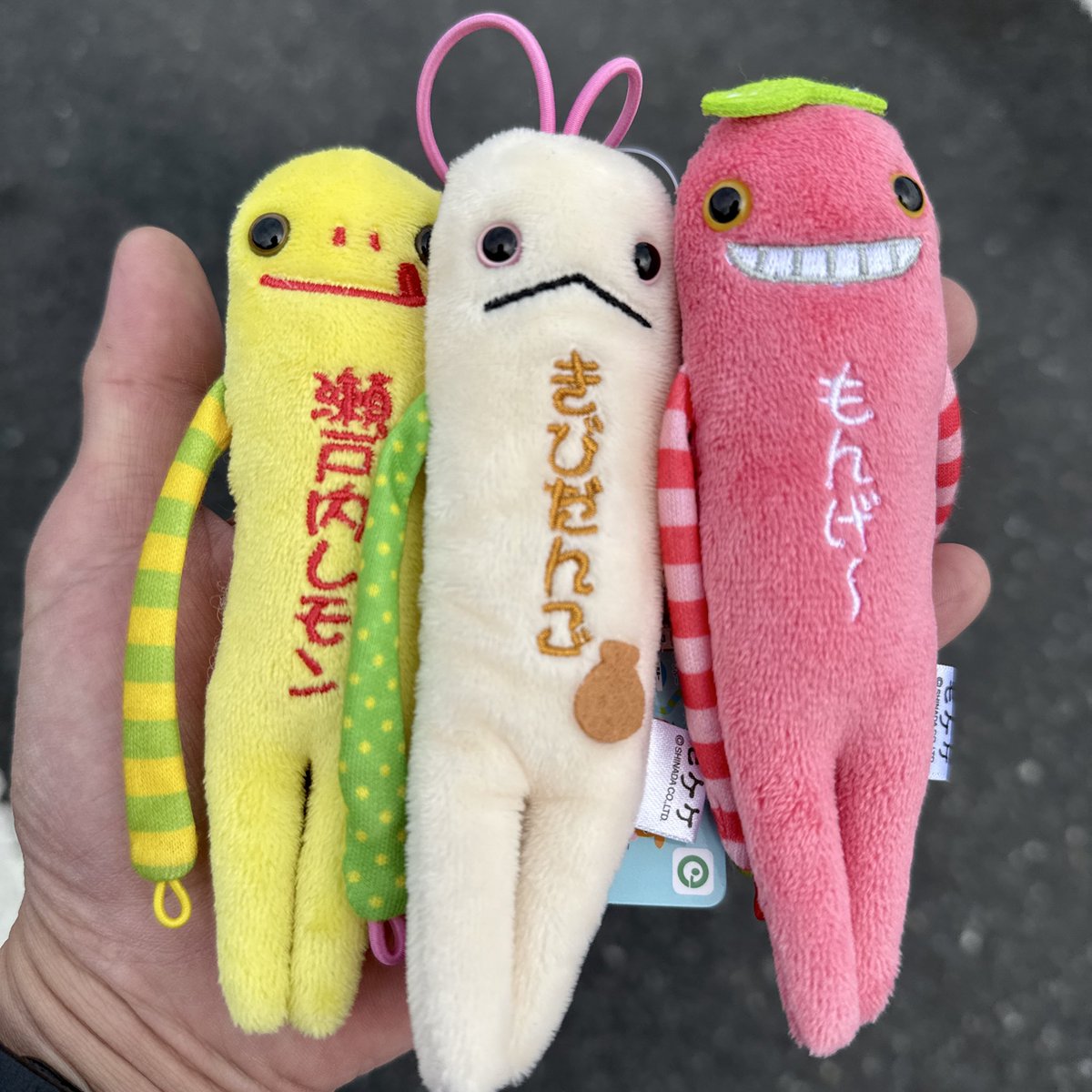 タッシー (@taccie) / Posts / X