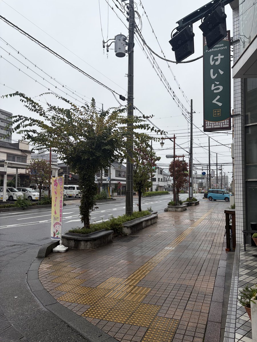 cafechi's tweet image. あいにくの雨ですが、今日は朝から投票所へのお弁当配達から🚚
ありがとうございます✨
昨日は大量テイクアウトのご予約、また多くのお客様お越しくださりありがとうございました！
今日はポイント2倍✌️
ぜひお越しください😆
#春日部グルメ
#中華けいらく