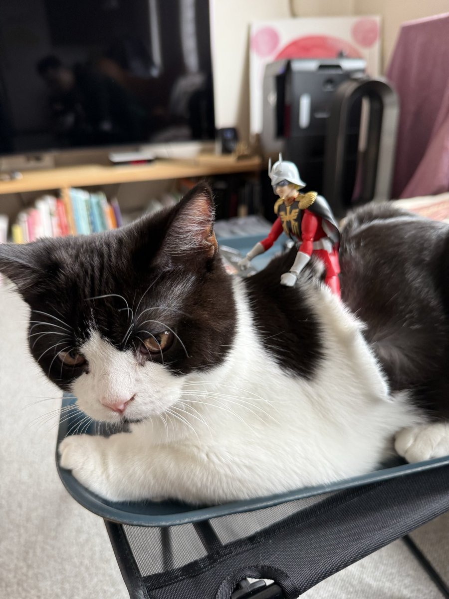 コロニーページ コロニー製作所 (@colony_mfg) / Posts / X