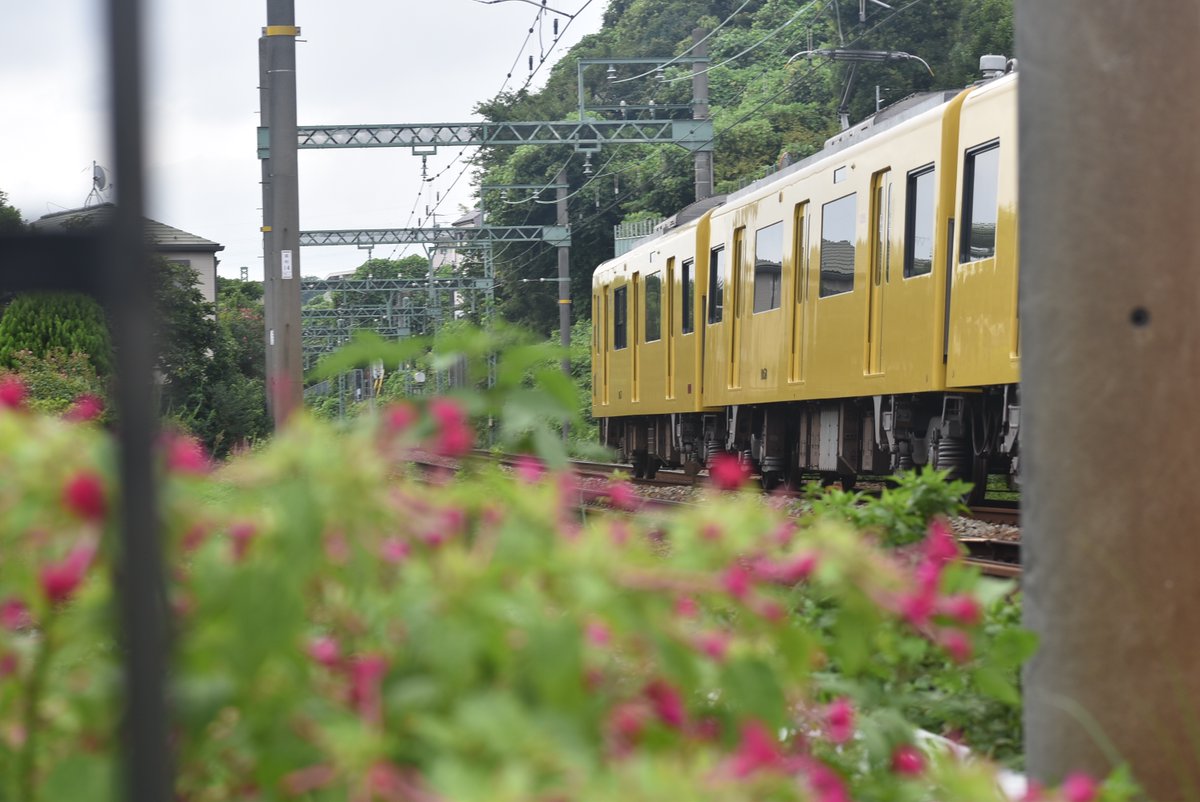 A-TRR.Line_3955 on X