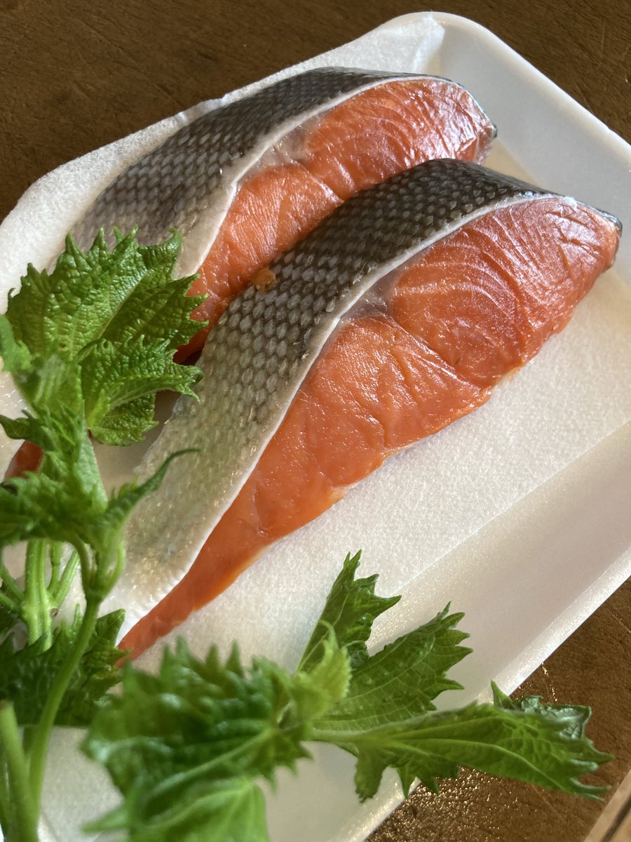 さかなやさん専用ページ 魚肴さん専用 さかなさん専用 さかなさん専用 ZX太刀魚 | 株式