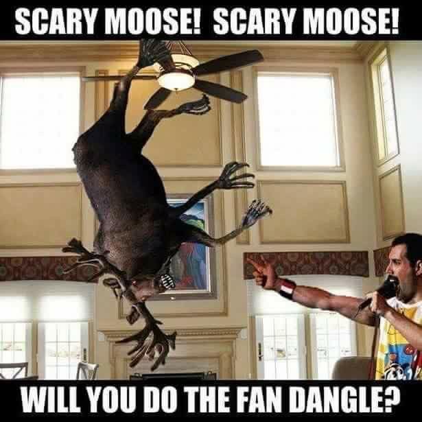 horrorinco's tweet image. Misheard Song Lyrics 
#funny #songlyrics #misheardsonglyrics