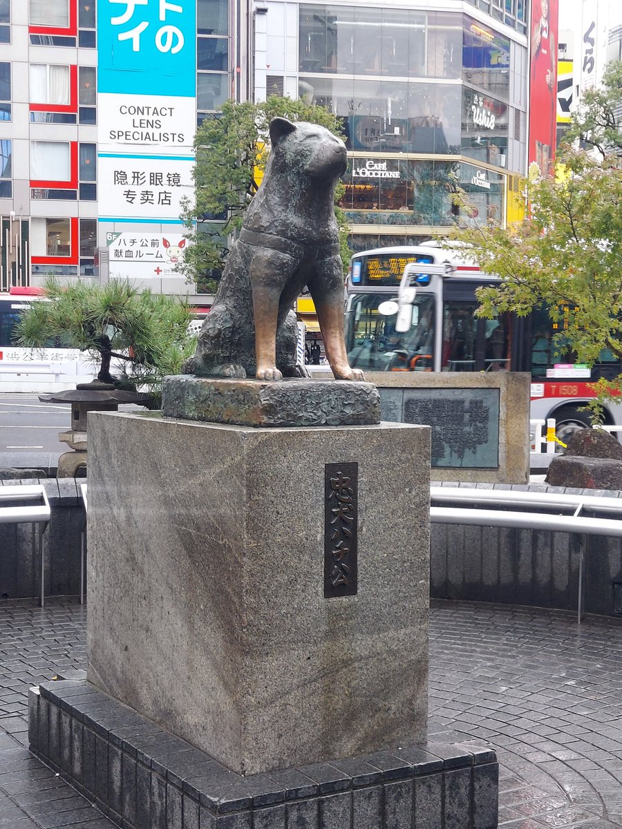 高槻市4人の息子の母 朗読チャンネル開設🎉 on X