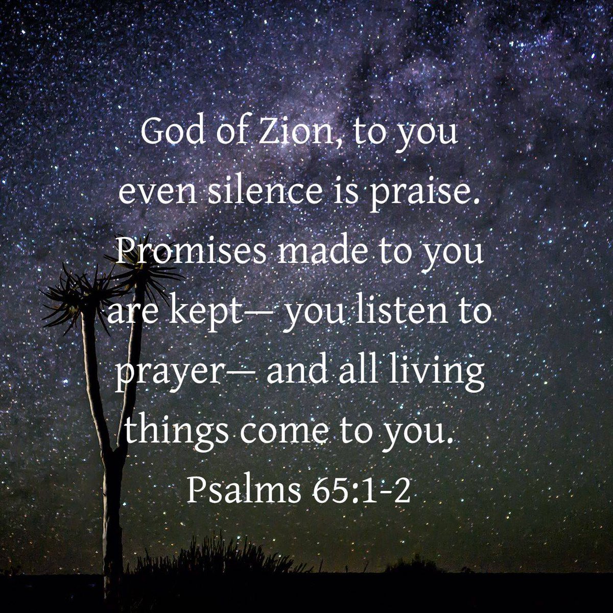 Lectionary's tweet image. Psalms 65:1-2 CEB
[1] God of Zion, to you even silence is praise. Promises made to you are kept— [2] you listen to prayer— and all living things come to you.

bible.com/bible/37/psa.6…
