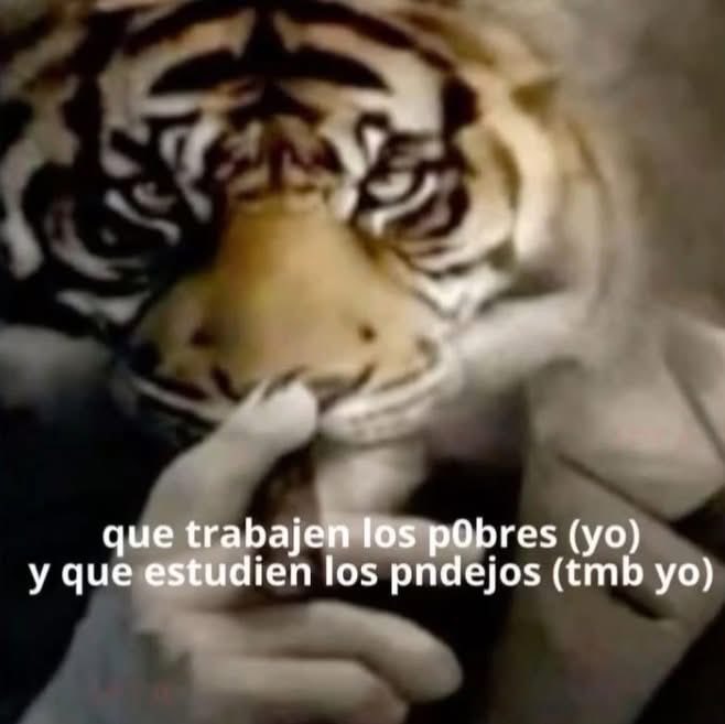 el jeringas (@eljeringasloko) on Twitter photo 