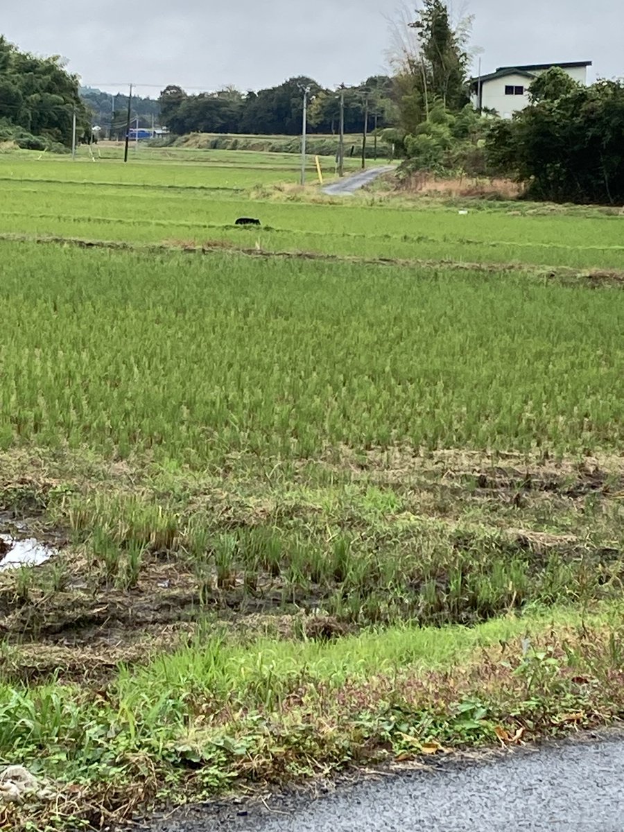 佐藤弘樹 宮城県大崎市議会議員 on X
