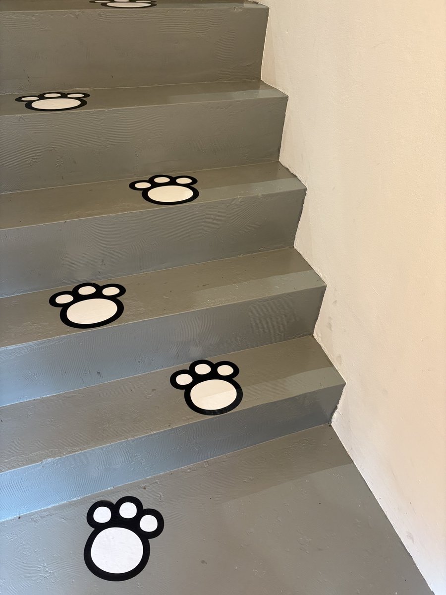 すずみ (@gene_s08) / Posts / X