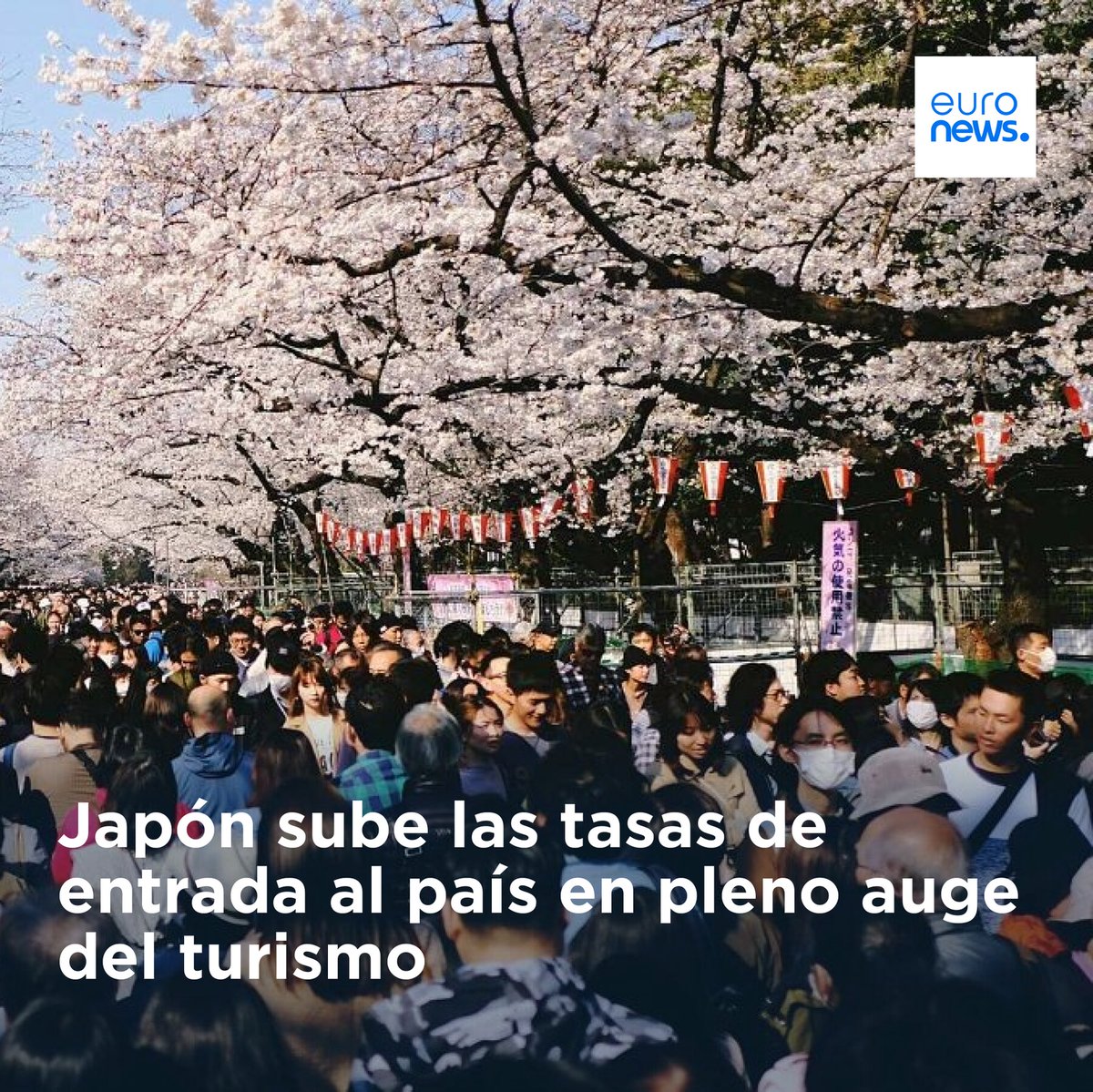 Los nuevos impuestos japoneses pretenden controlar el récord de visitantes y financiar al mismo tiempo la educación y las infraestructuras.
➡️ l.euronews.com/TTFH