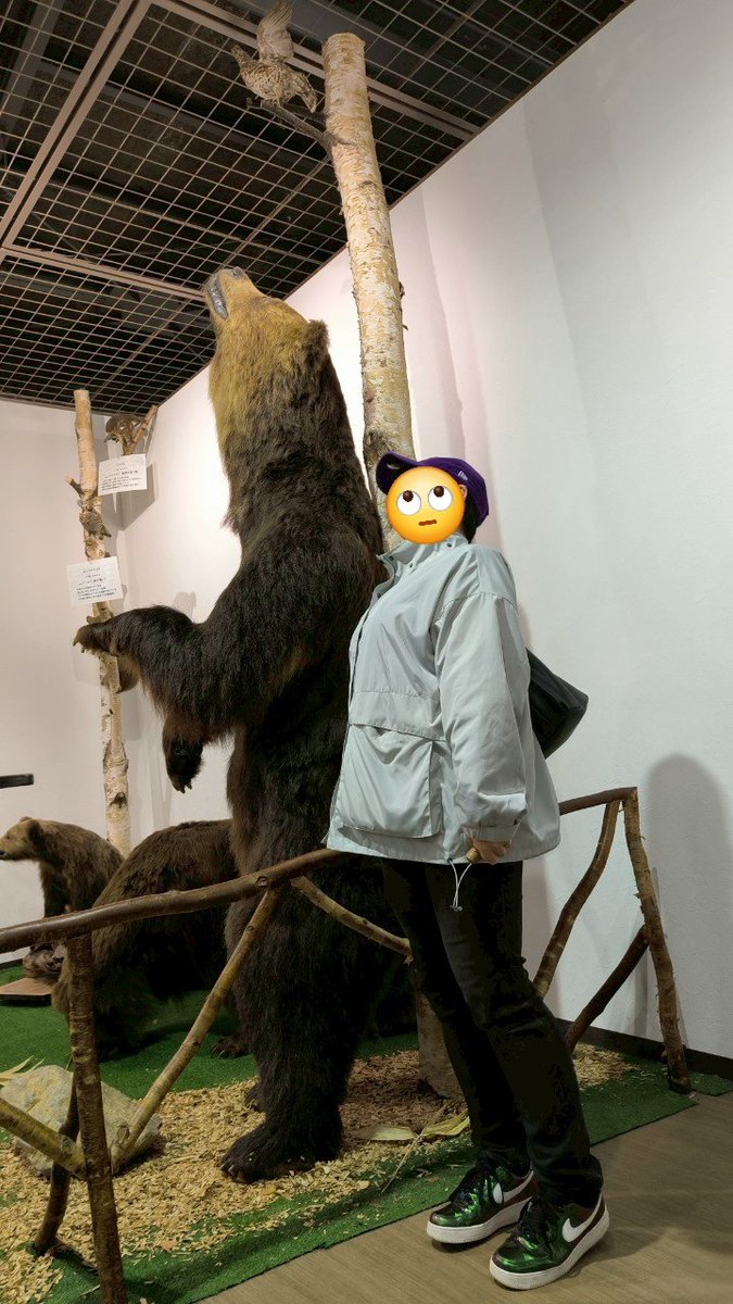 クマ まちこ＠11/16神ノ叡知(東7Q64a) on X