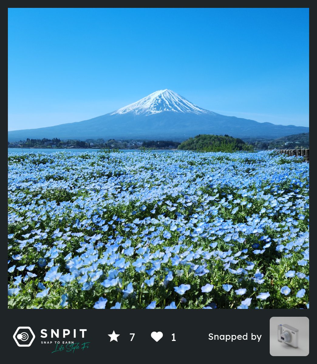sakenomiya_n's tweet image. これはフィルタ使ってる
見る人が見ればわかると思うけど、一見わかりにくい
#SNPIT