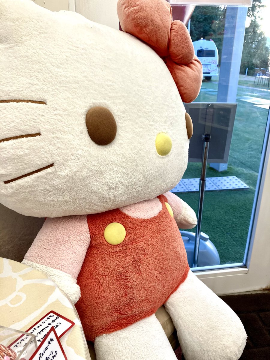 Kitty⭐️整理中の為出品中止ページ/10点 Kitty⭐️整理中の為出品中止