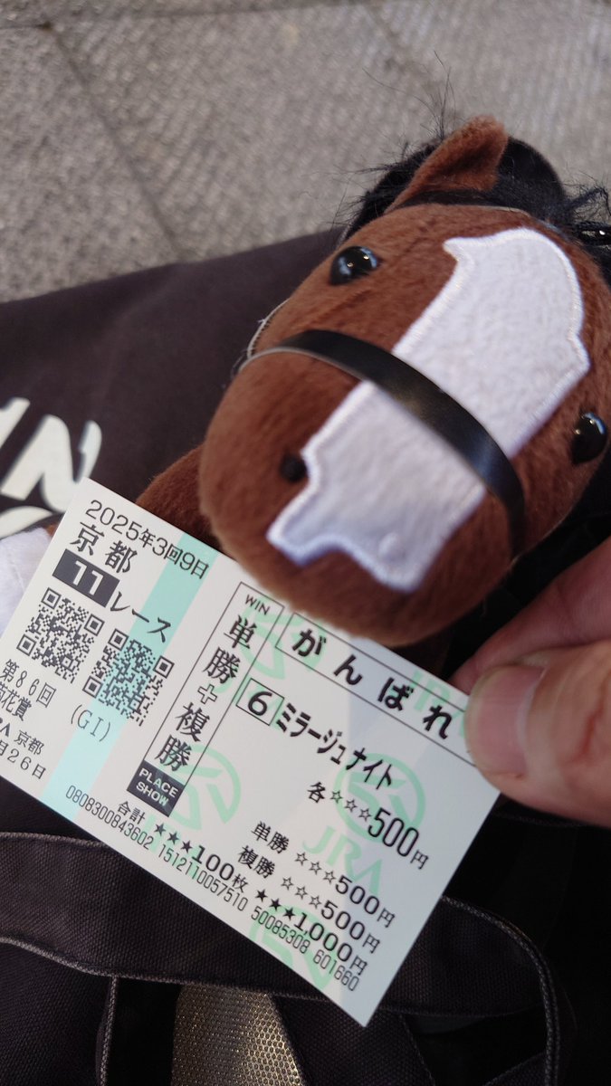 bigblazeページの2 金鯱 ８号２点 bigblaze様 金鯱8号2点 bigblaze様 金鯱8号2点