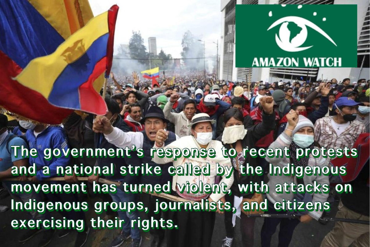 mikecoulson48's tweet image. Indigenous organizations in #Ecuador delivered an open letter to IMF Managing Director K Georgieva, directly challenging the institution’s role in promoting oil &amp;amp; mining expansion in the #AmazonRainforest 🔗amazonfrontlines.org/chronicles/ind…
#IMFMeetings #TheAmazonIsNOTforSale
