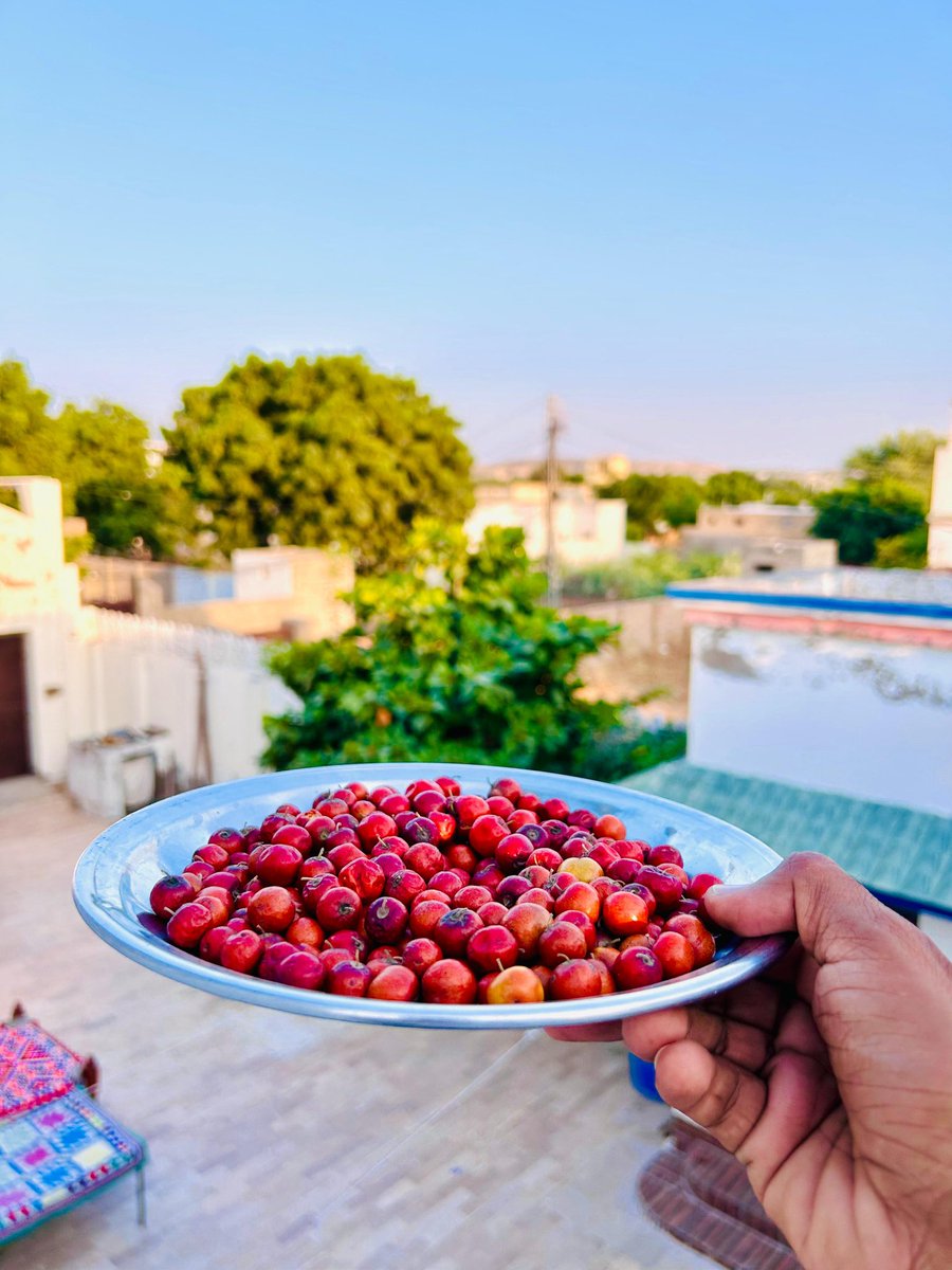 ٿر جي سوغات ٻير ❤️