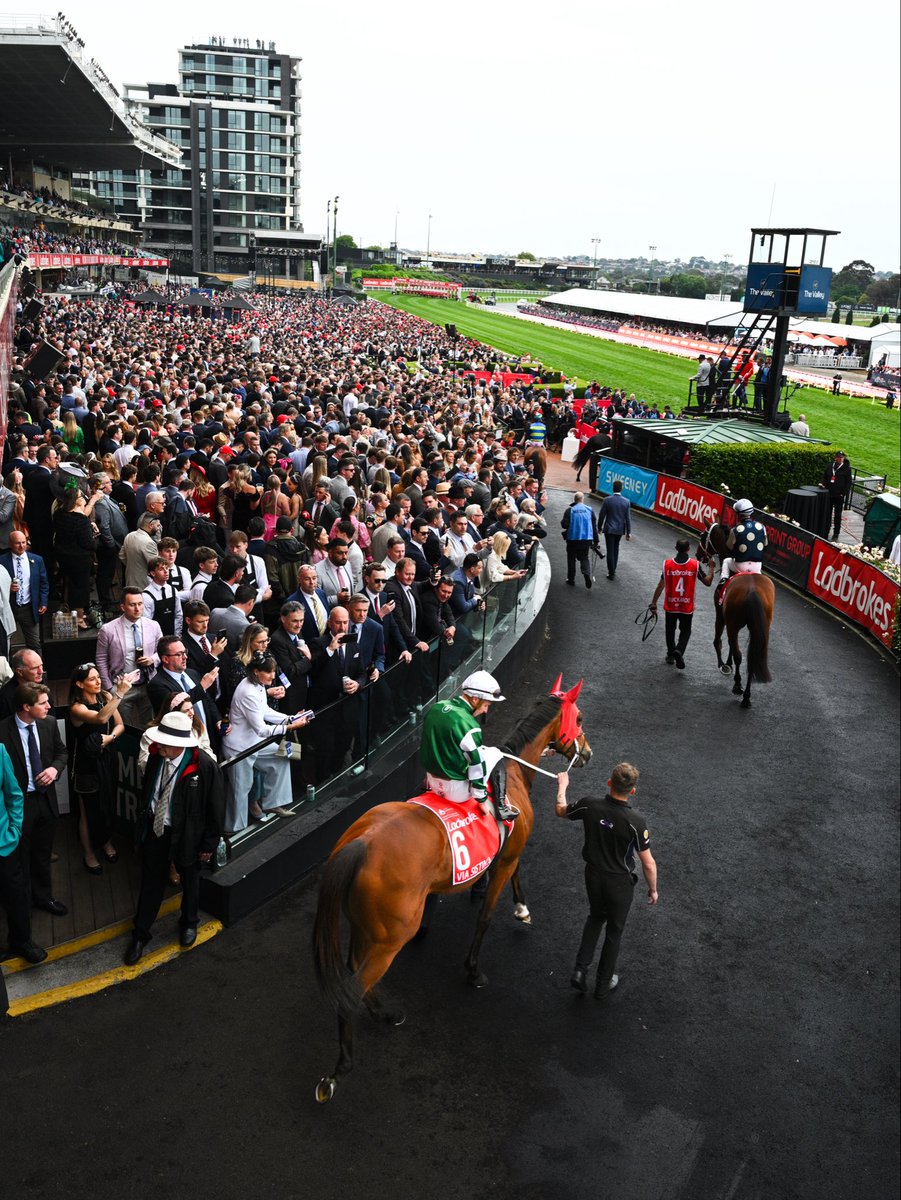 Vinnycenzo_71's tweet image. Via Sistina entering The Valley Colosseum .
@cwallerracing