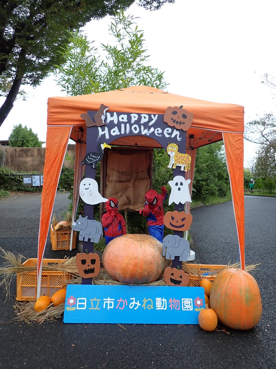 ハロウィンフォトスポットディスプレイ HW1292 ハロウィンフォトスポットディスプレイ HW1292 ハロウィンのフォト