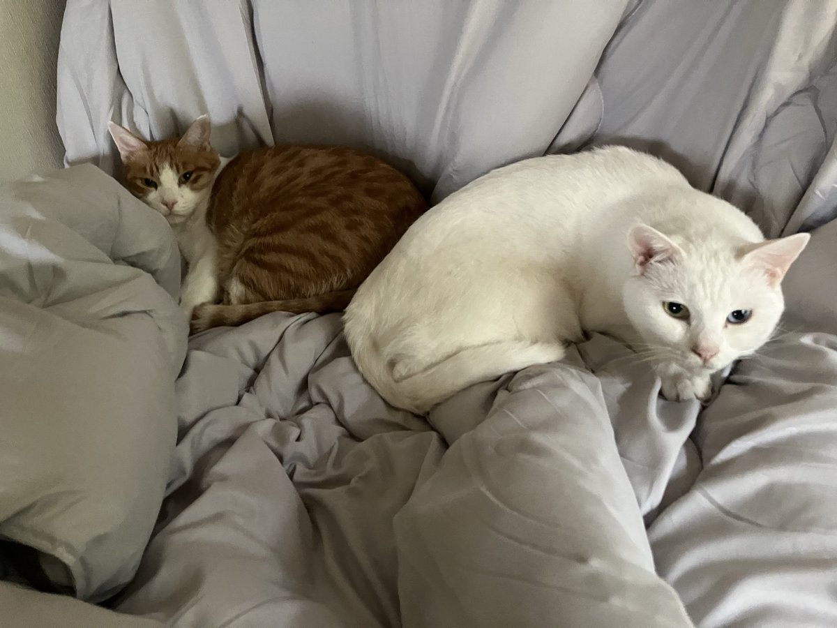 gigaburu1985's tweet image. 雨の日は集まりメンズ