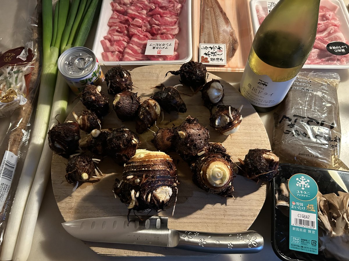 5月に植えた菜園の里芋を今年初収穫しました。今夜は山形の芋煮だよ