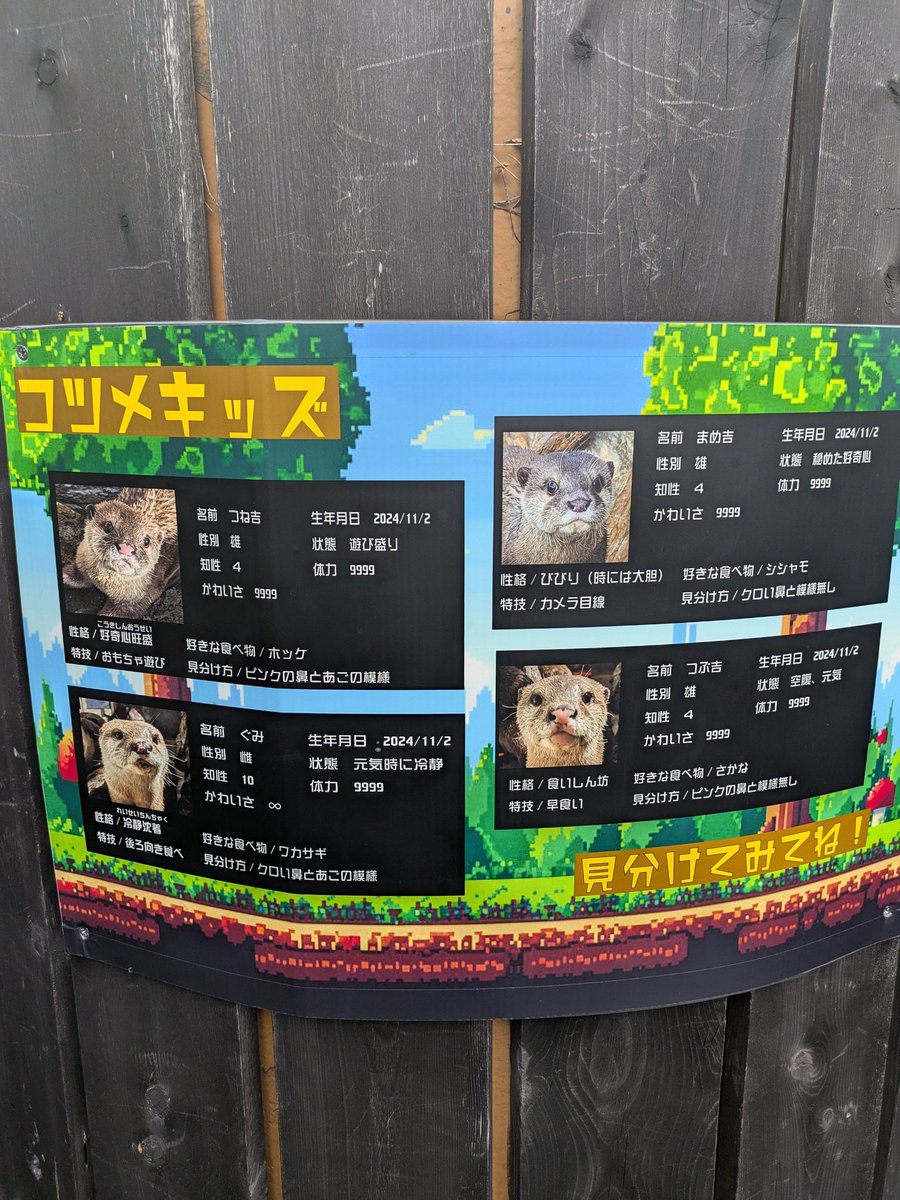 ともニャンФωФ Lloyd Kimono Green Ninja ZX LEGO Ninjago The Final