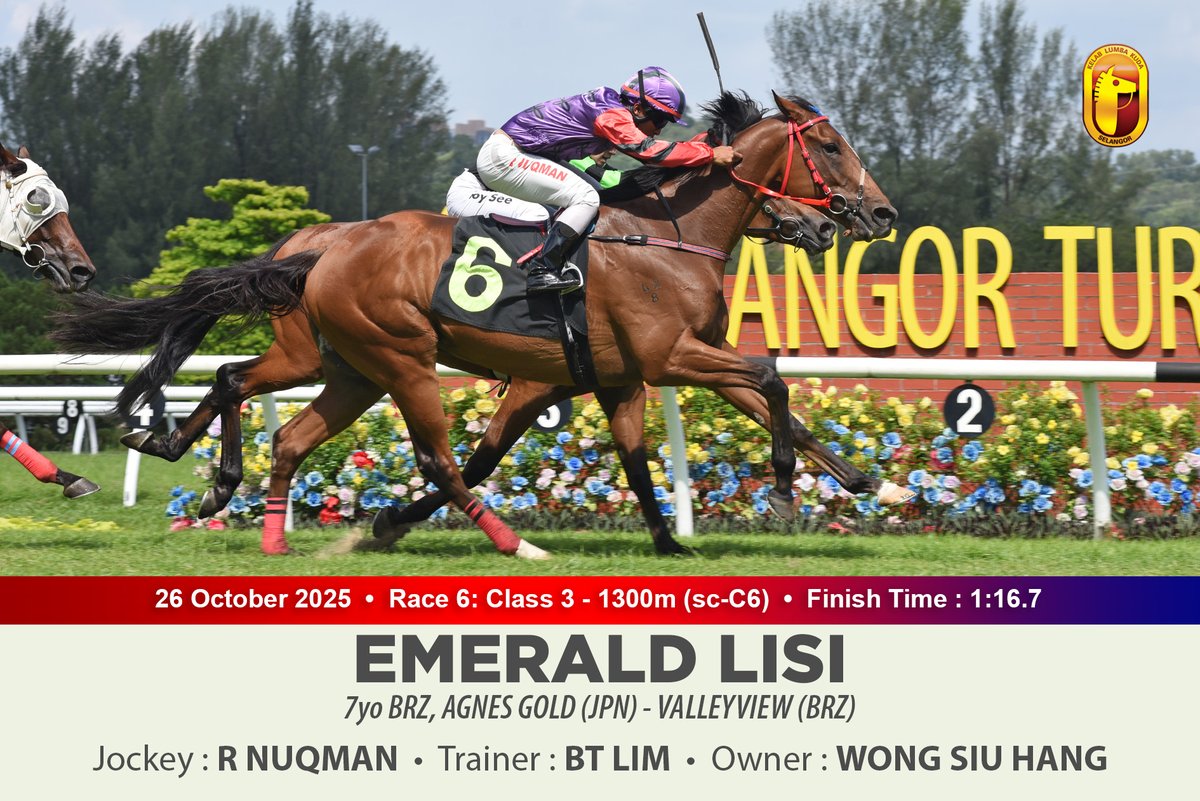 シーチキンツナ (@Seafood_Horse) / Posts / X