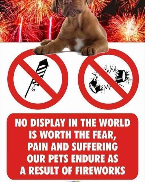 tapper1967's tweet image. 