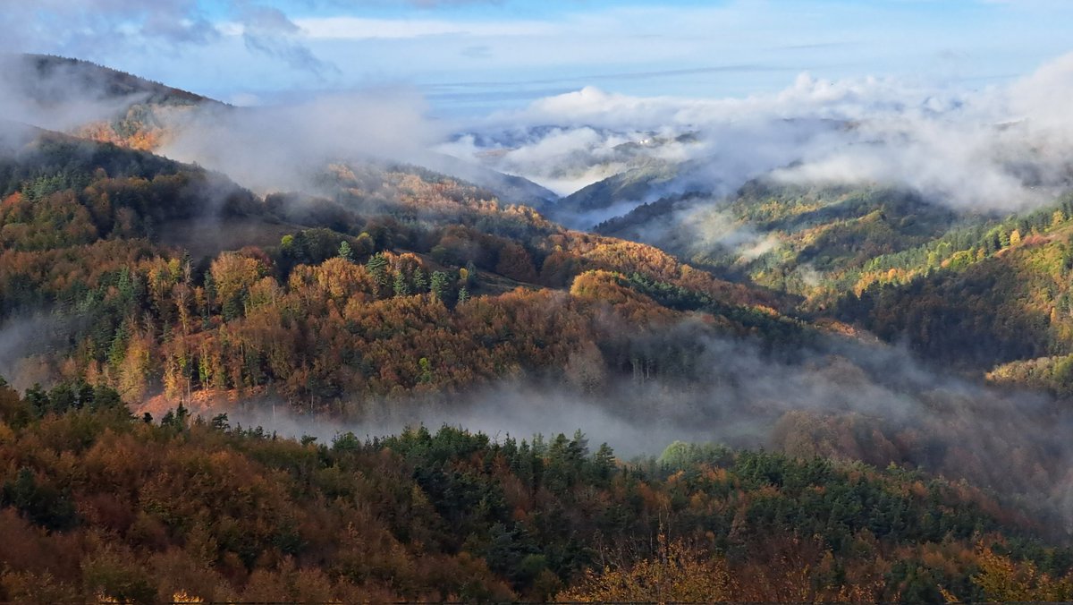 Buenos días, fotos que hice ayer a mitad de la mañana desde el puerto de #Laza #PirineoNavarro a 1129m de altitud.