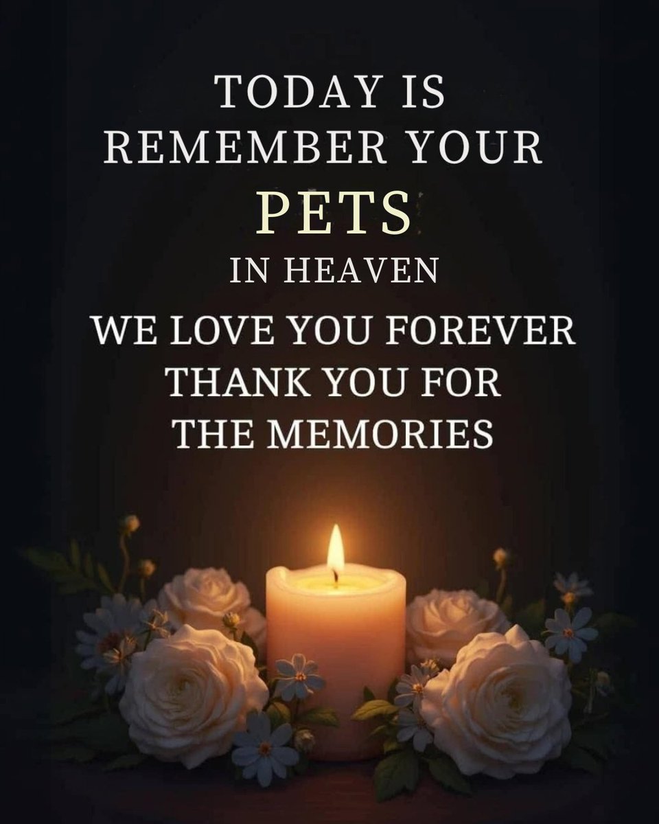 Dog Lovers (@doglovers03) on Twitter photo Today, I light a candle for all the pets who’ve crossed the rainbow bridge. 🕯️
You may be gone from our sight, but never from our hearts.
Thank you for the love, the laughter, and the memories that will last forever. ❤️🐾 Today, I light a candle for all the pets who’ve crossed the rainbow bridge. 🕯️
You may be gone from our sight, but never from our hearts.
Thank you for the love, the laughter, and the memories that will last forever. ❤️🐾