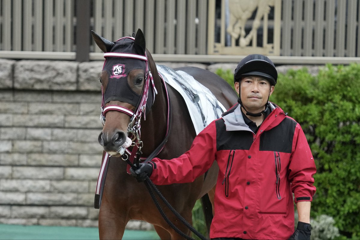 馬くんさん専用　　　写真18.19.20 3点セット et-coquine on X