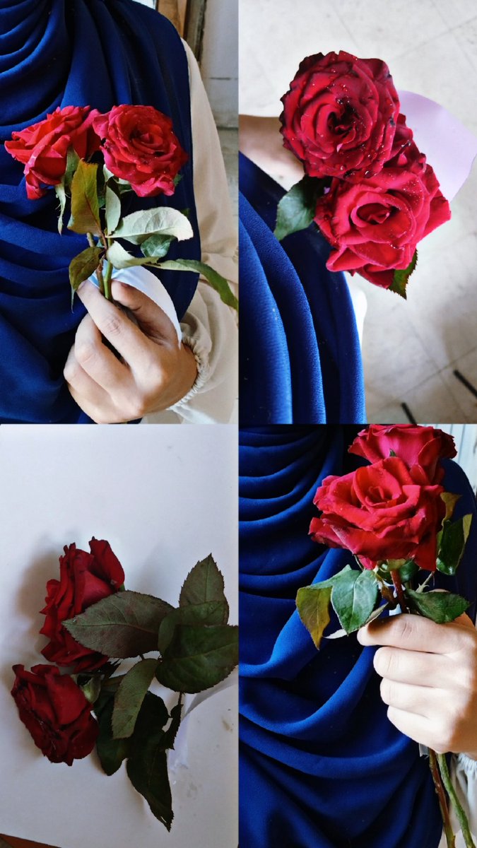 ما يُميزكِ
ليست ملامحكِ
الرقيقة
ولا اللون البُنّي
في عينيكِ
ما يُميزكِ حقًا
هو شعور الحُب
الذي تمنحينه لكل الأشياء
حولكِ.