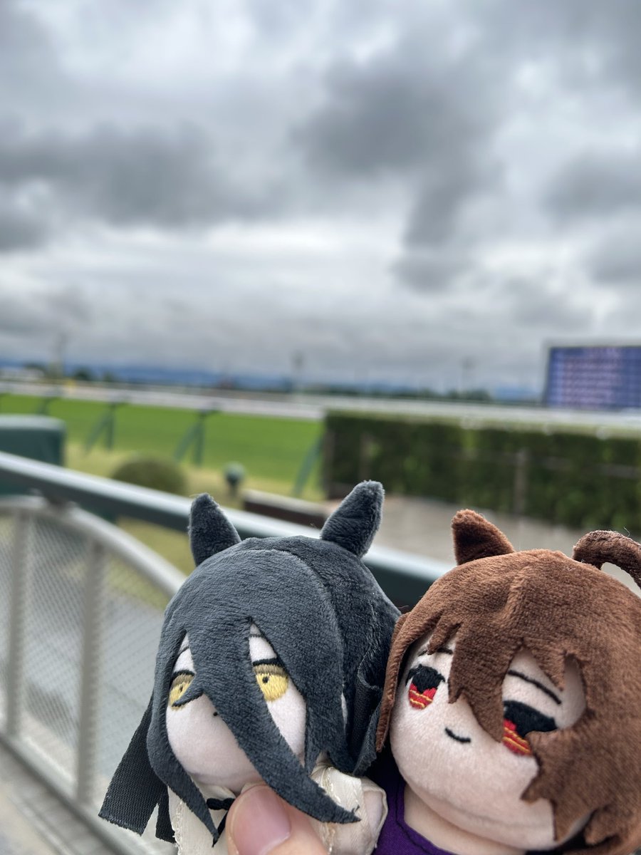 いわし様♡ いわし@低浮上 (@iwashifurai184) / Posts / X